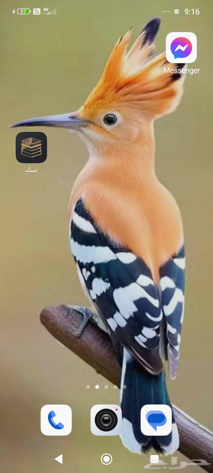 كهربائي تاسيس وتطبيق630327284072991126