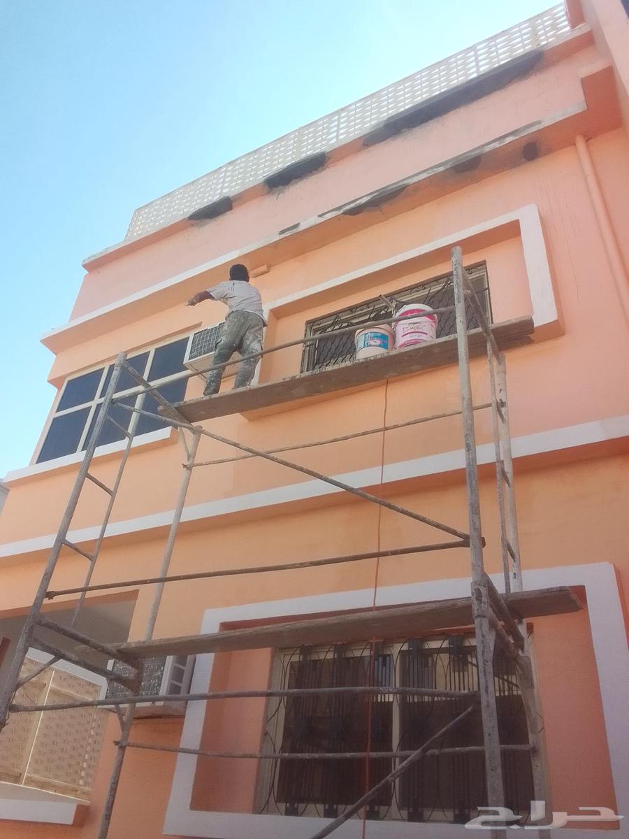 معلم بويه معلم بويات دهانات ديكورات630310165113631121