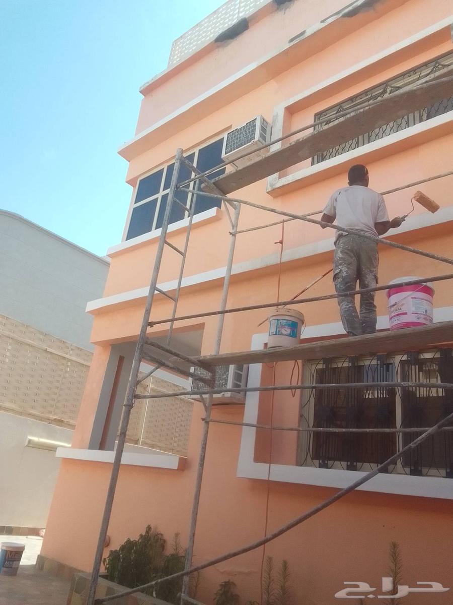 معلم بويه معلم بويات دهانات ديكورات63031016511363111