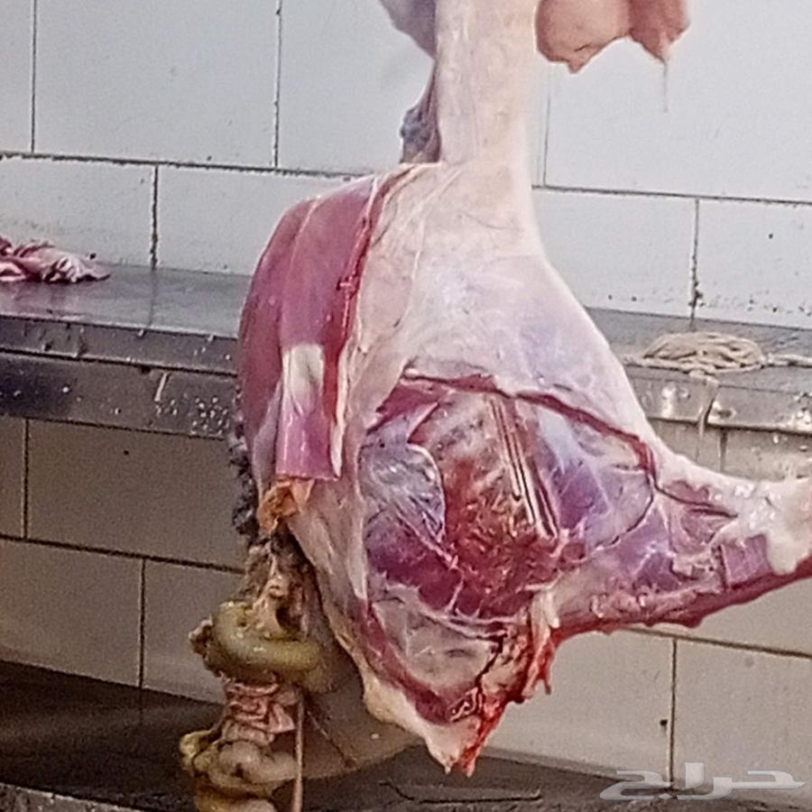 Pigs and goats raised equally63372986354561114