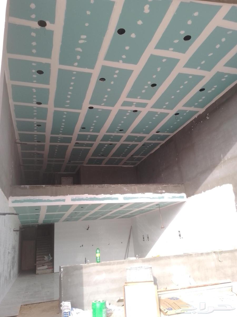Painter decorations restoration alternative to sheboard630305420087051117