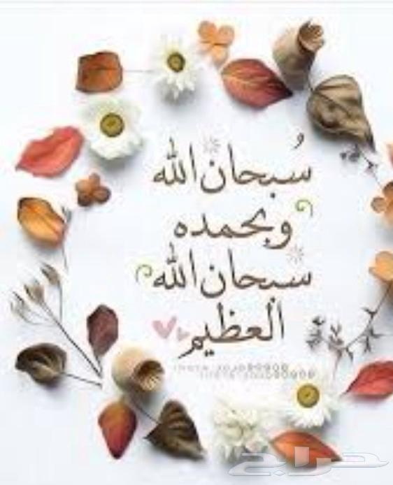 بالمظيلف للعوايل وسواقين63077748729347112