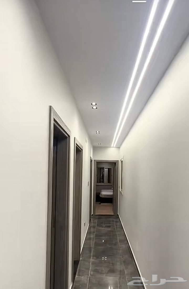 All types of paints and decorations630318647683861119