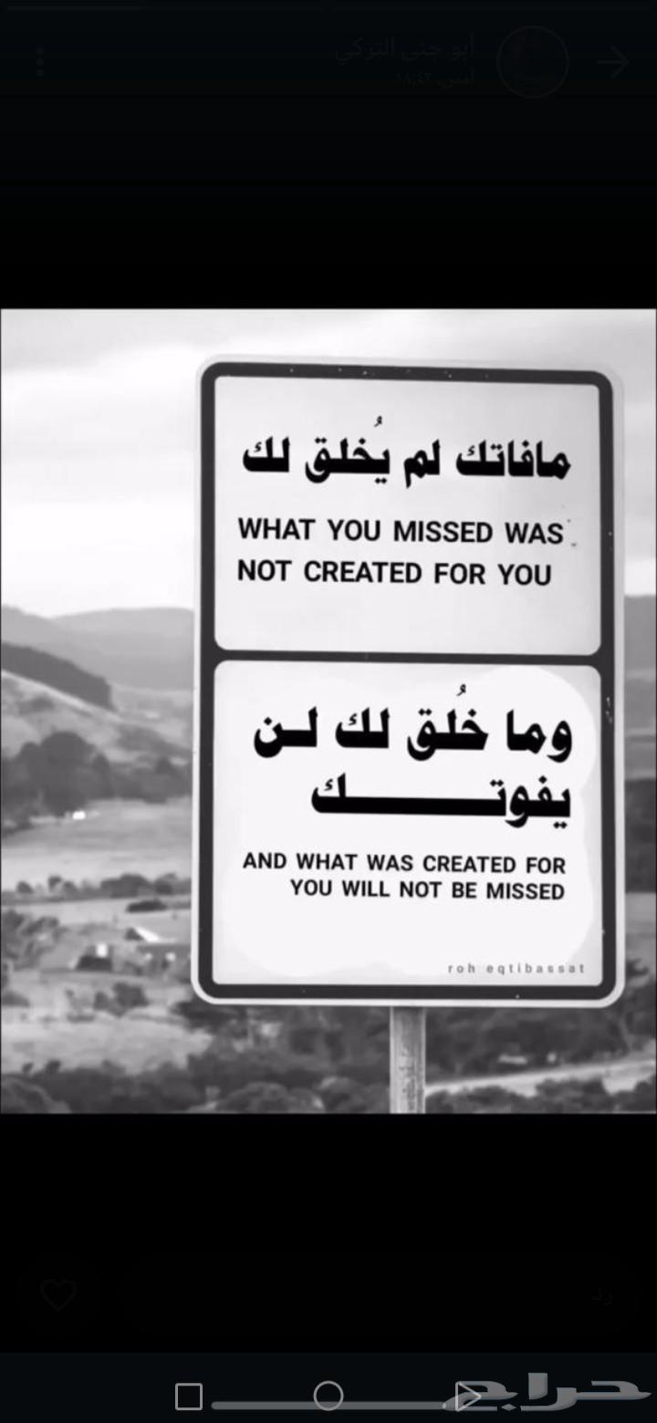 توصيل من المدينه الى تبوك630327295361301129