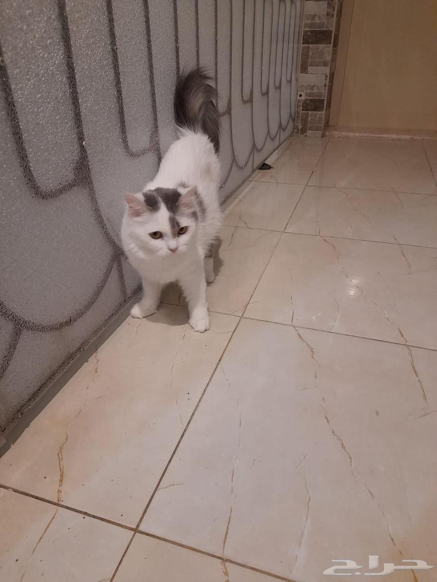 For sale63374137571201113