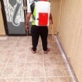 شركة رش مبيد ومكافحة الحشرات بالجبيل630301442286091114