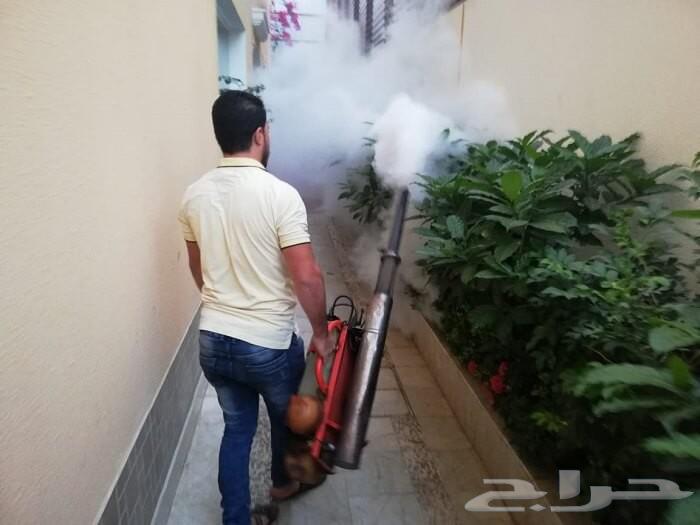 شركة رش مبيد ومكافحة الحشرات بالجبيل63030144228609112