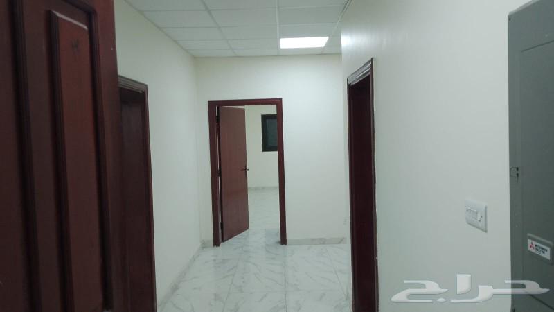 شقة للإيجار