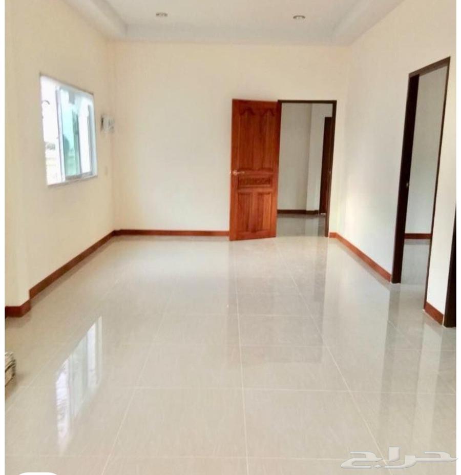 Painter Mouth Painter Paint Master Painter63438353396865112