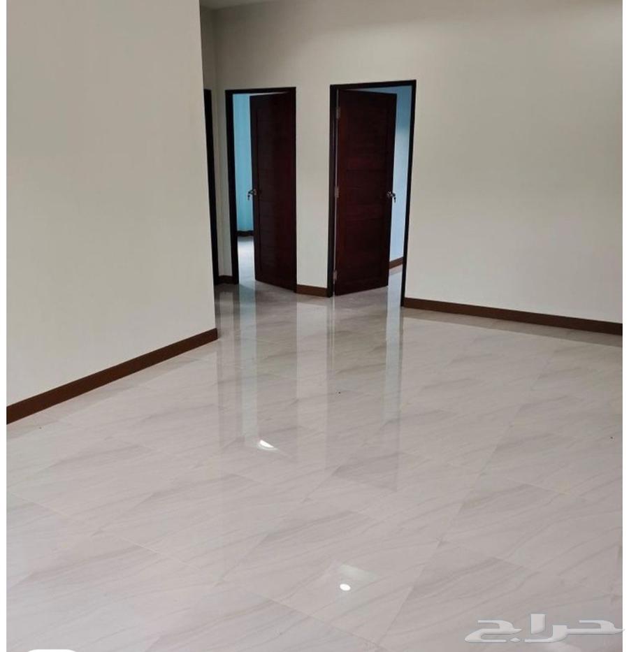 Painter Mouth Painter Paint Master Painter63438353396865113