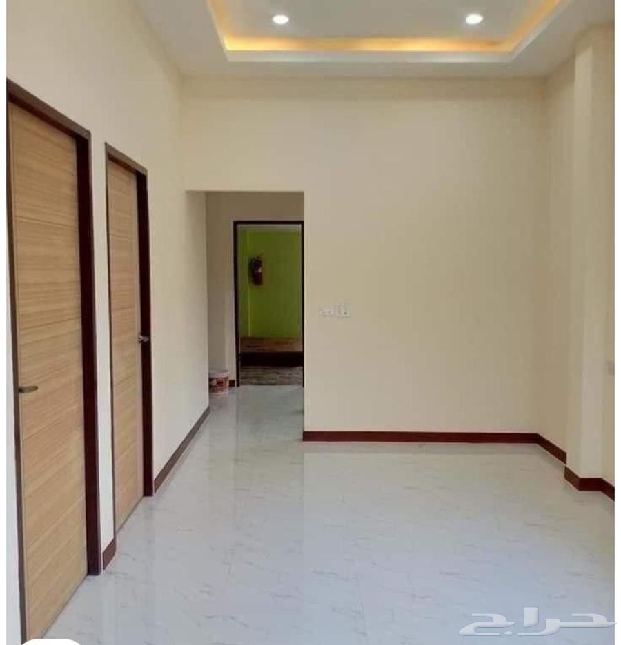 Painter Mouth Painter Paint Master Painter63438353396865111