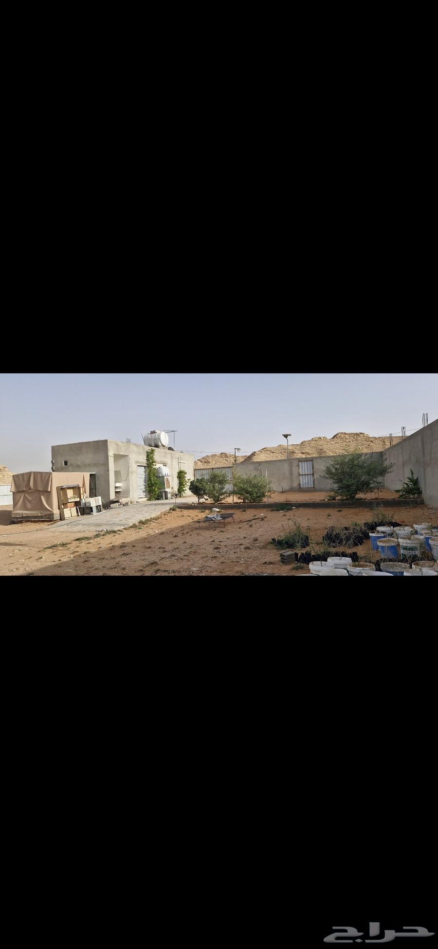 Horse for sale or for annual rental 1000m63363281613698111