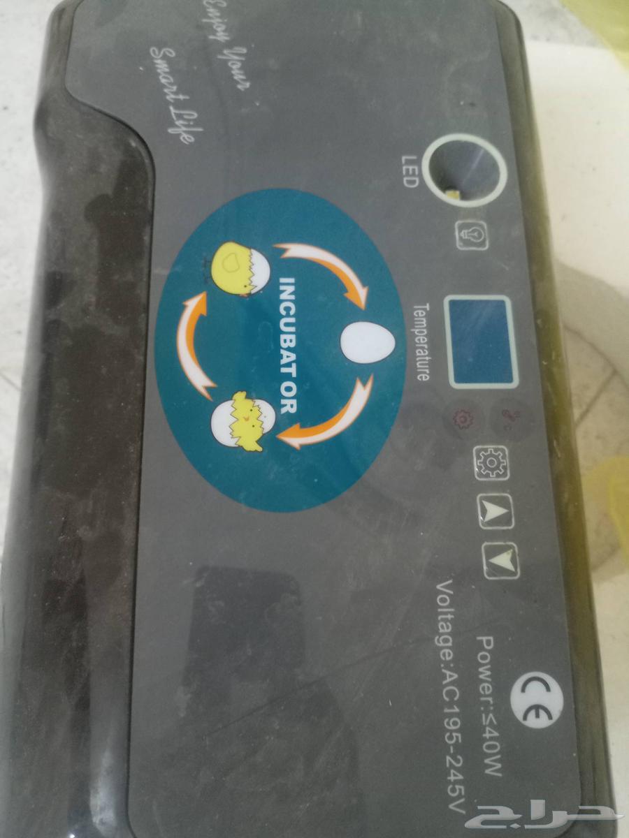 Automatic incubator with automatic egg turning and egg detection63364902386561116