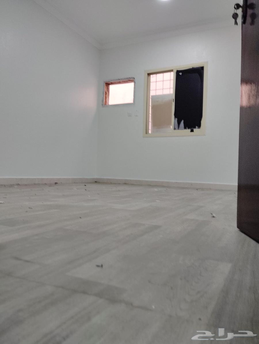اصباغ عروض على جميع الاصباغ وديكورات الشرقيه الجبيل فقط63029673957123111
