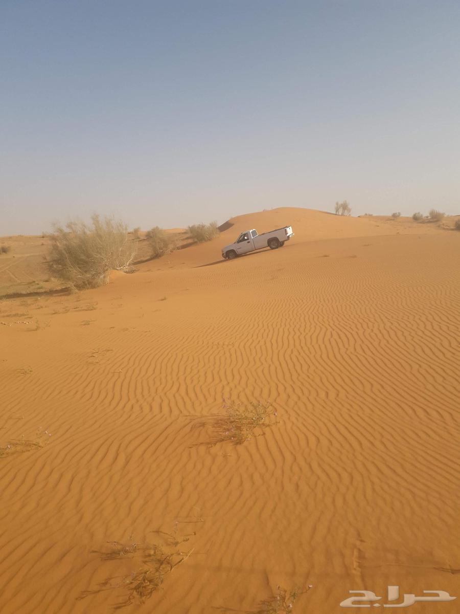 جمس سيرى موديل 2002 رقم الوحه ص ط ق7 7 TGX 7763359845673987112