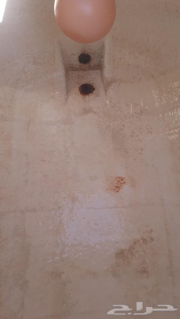 Cleaning tanks63029674204291114