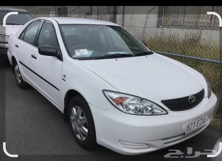 Delivery trips in Abha630292356666891128