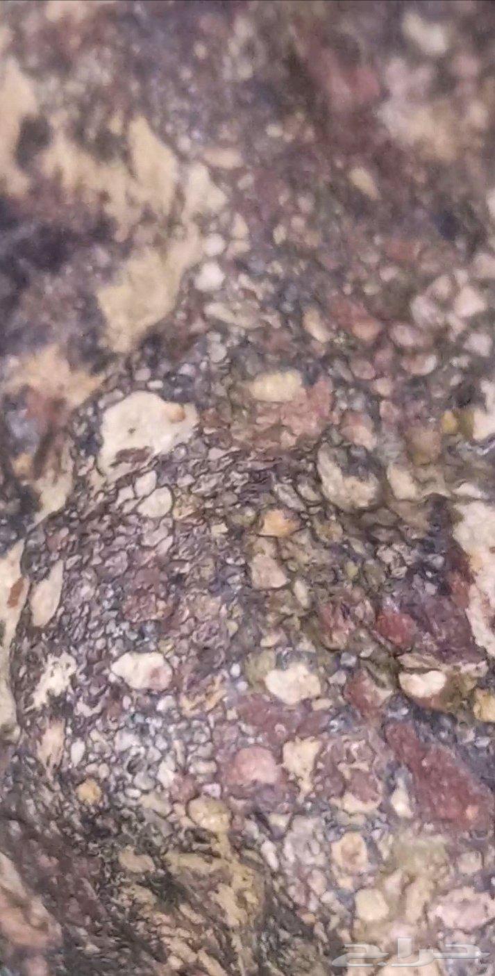 Fossilized dinosaur bone agate...63154827707907114