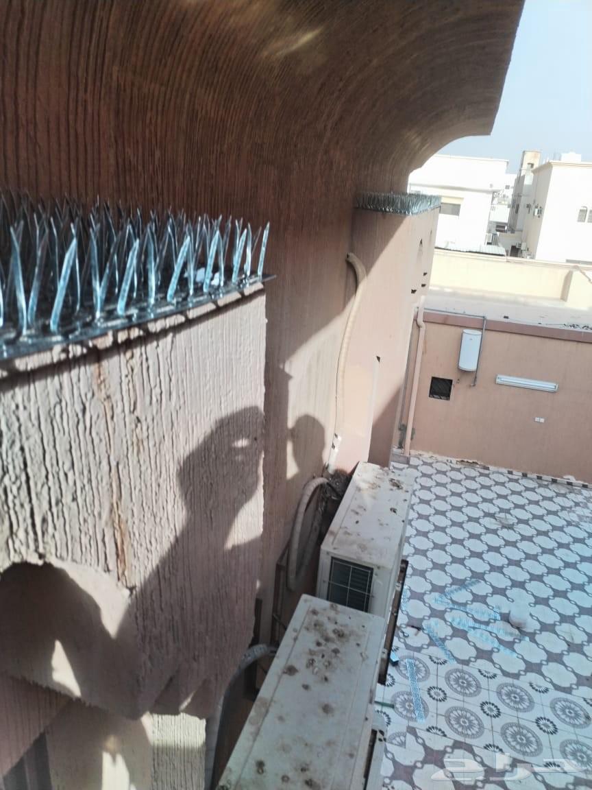 تركيب طارد حمام بالخرج63028351418497113