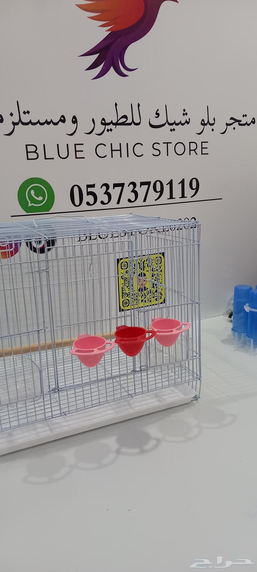 حامل بيض633506329369631114