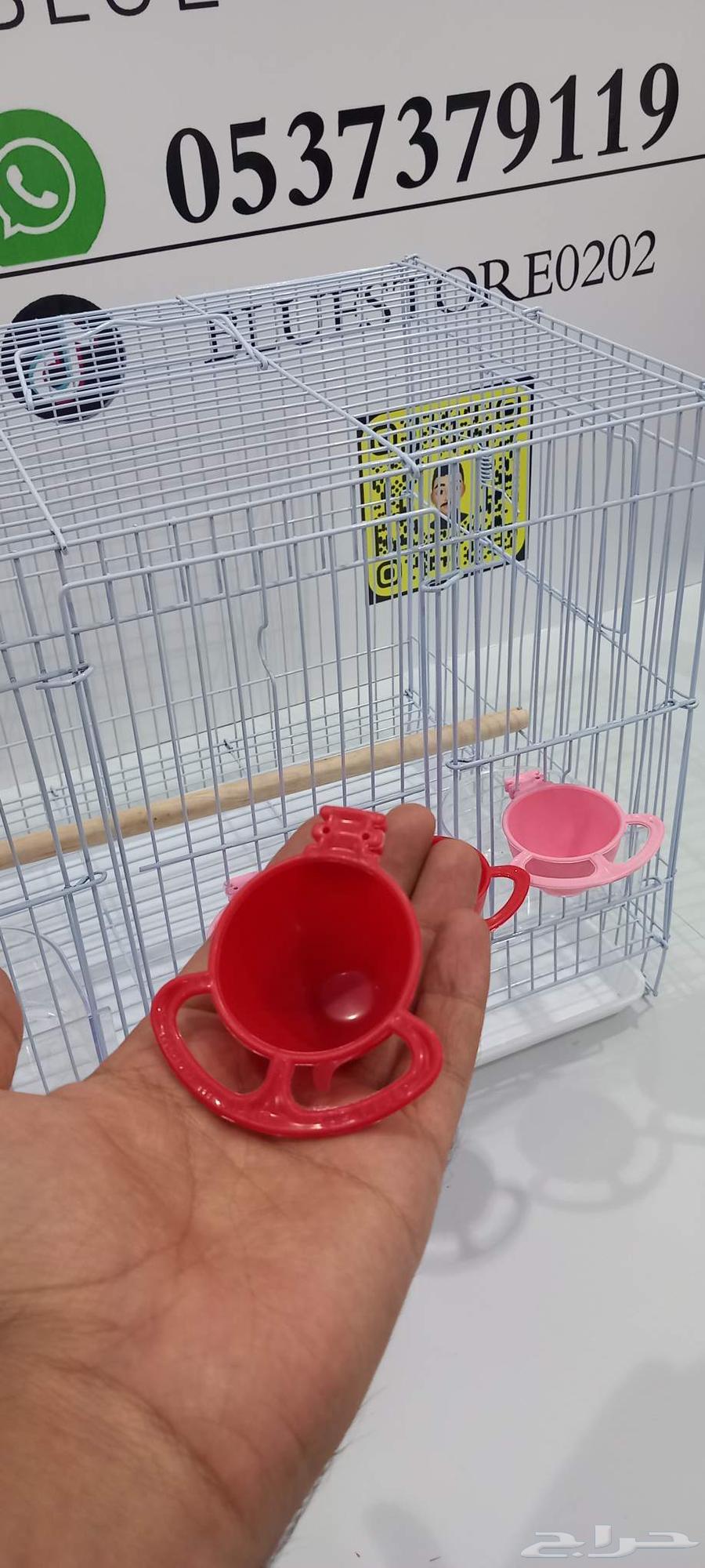 حامل بيض63350632936963112