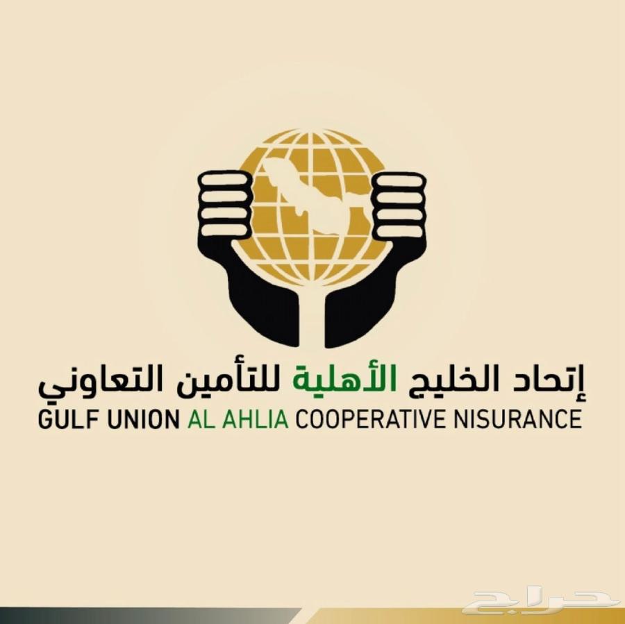 تأمين سيارات63027923611778114