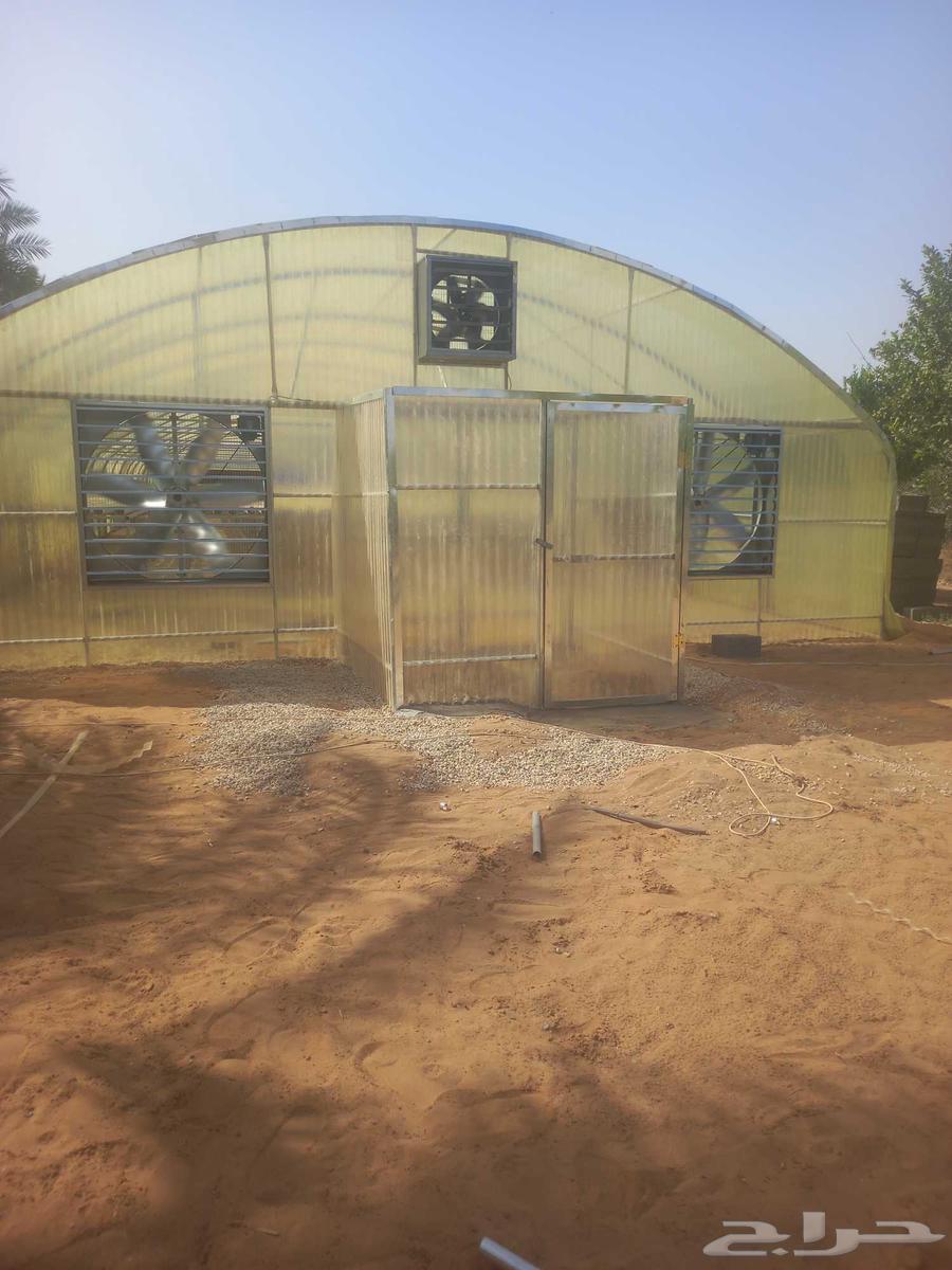 Greenhouses and agricultural connections633402873016341126