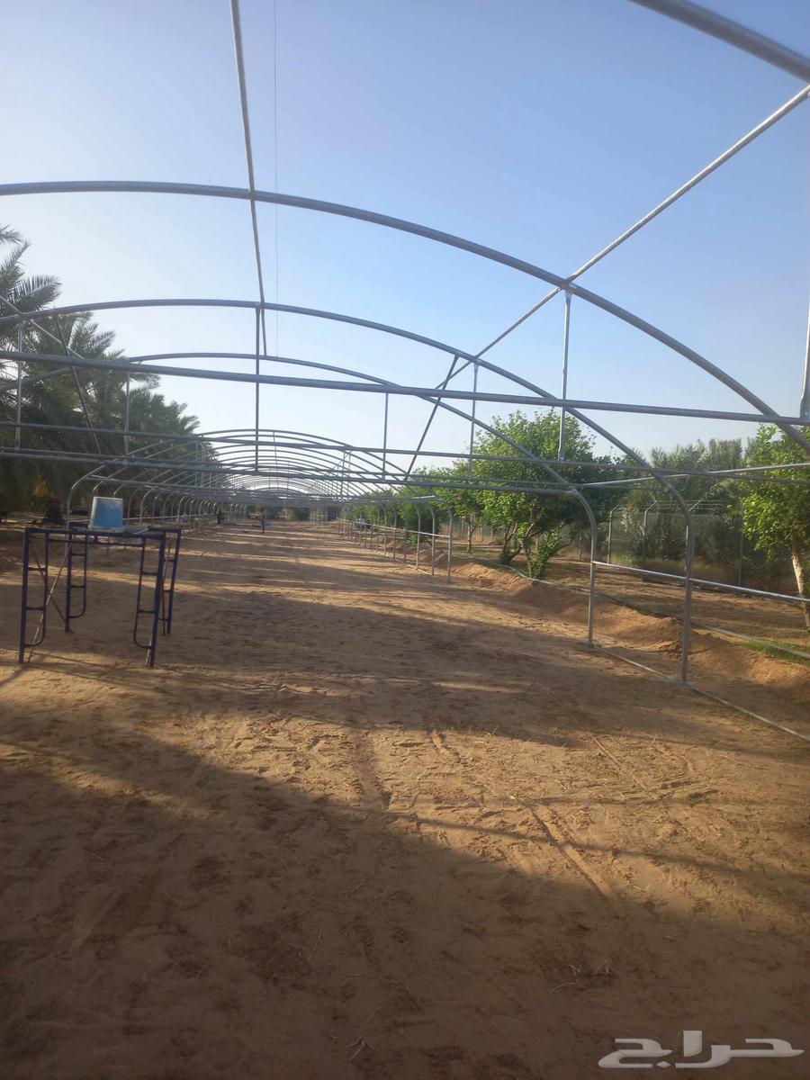Greenhouses and agricultural connections63340287301634111