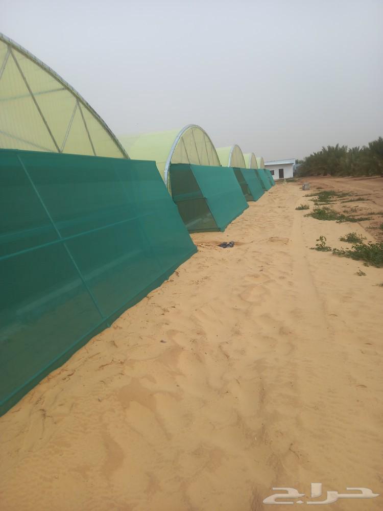 Greenhouses and agricultural connections63340287301634114