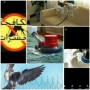 شركة تنظيف شقق فلل كنب مكيفات الدمام63029247241603117