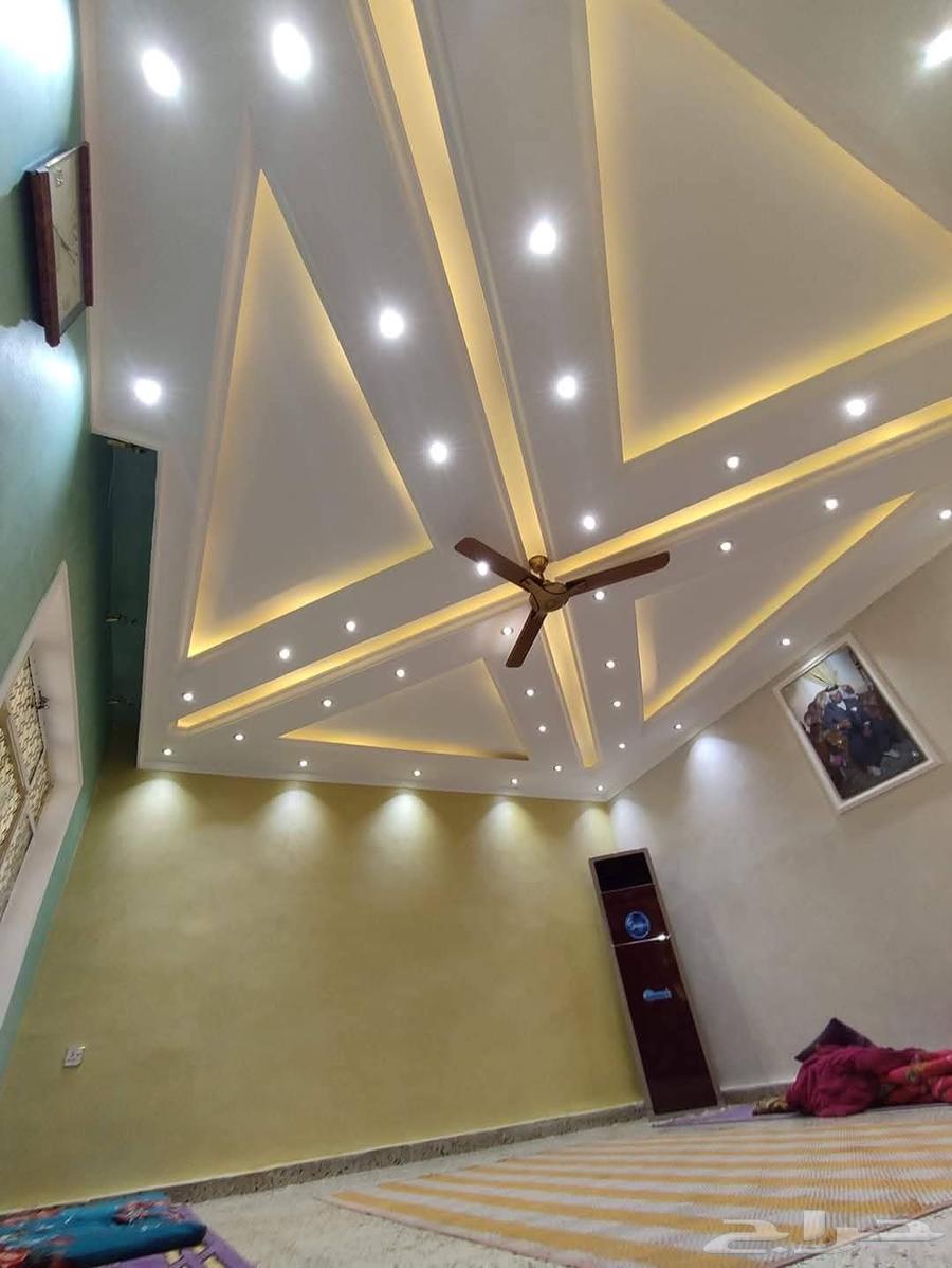 فنان طلاء وتركيب ألواح الجبس63005064673539114