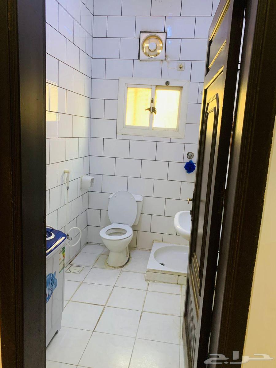 Monthly rent furnished apartments for sale in Jeddah, Al-Faisaliah district.63005765303810113