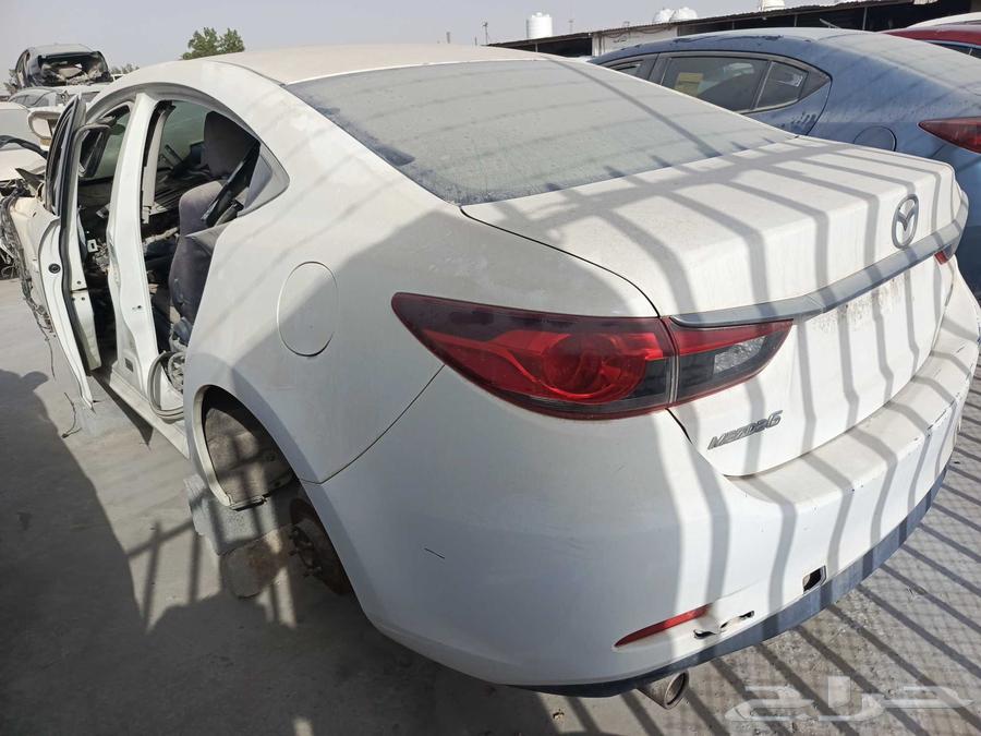 ماذا حجم 6636158240071691121