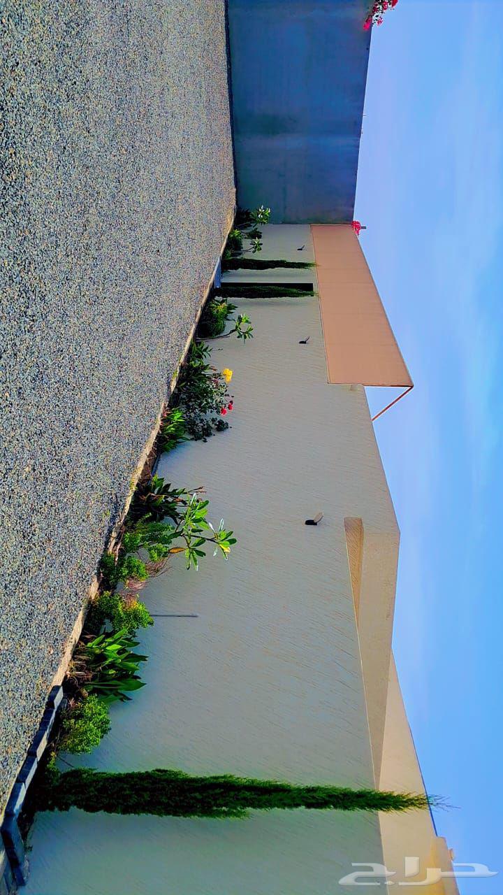 Chalet without pool for daily rent629956167792661111