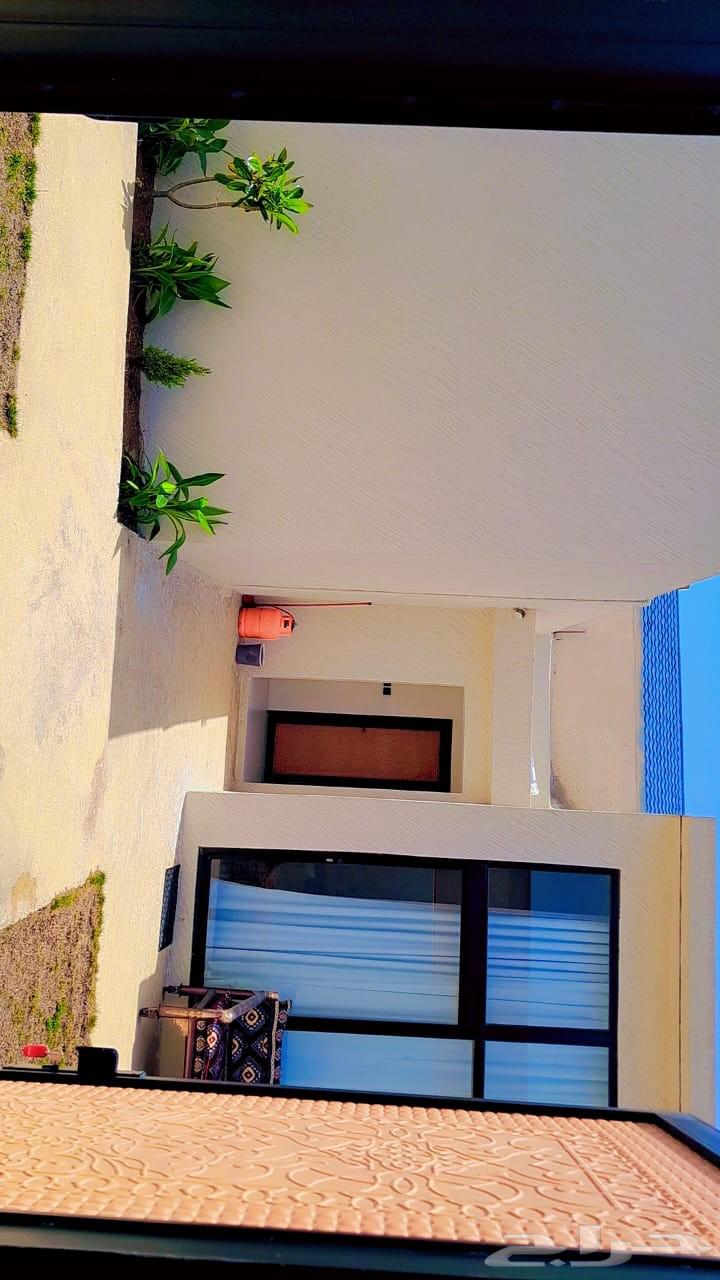Chalet without pool for daily rent62995616779266111