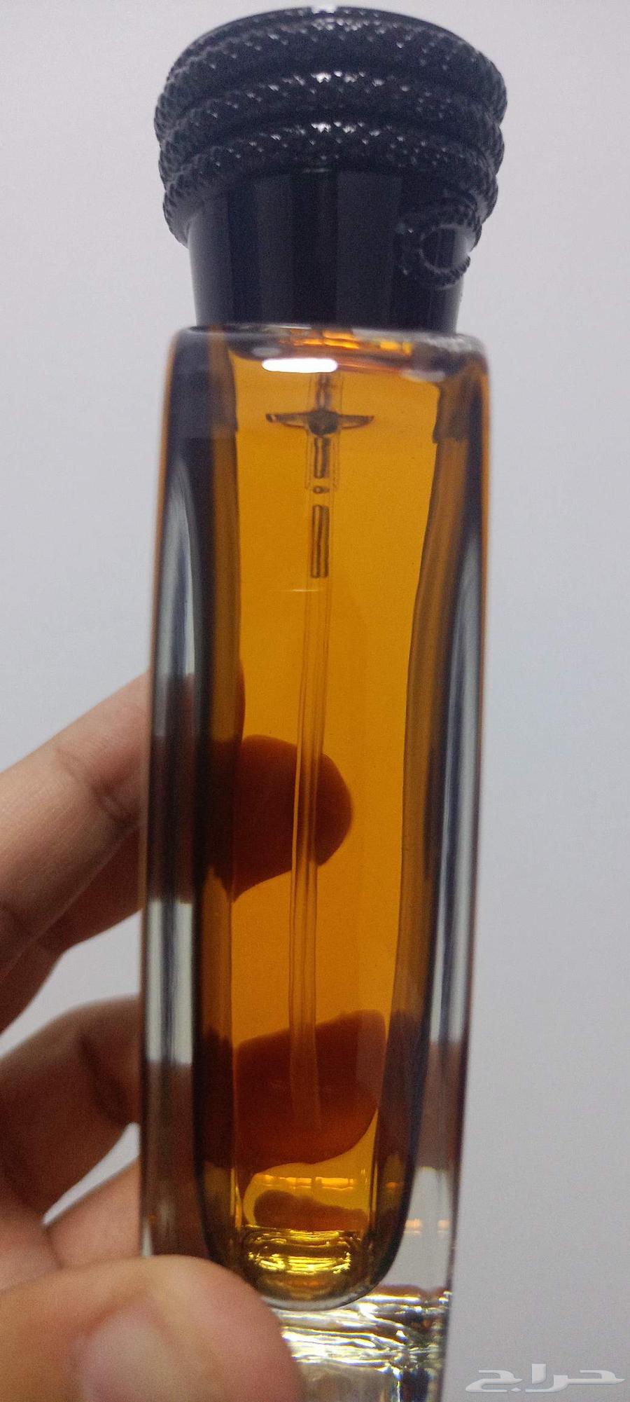 عطر هوس بلاك63618669166338113