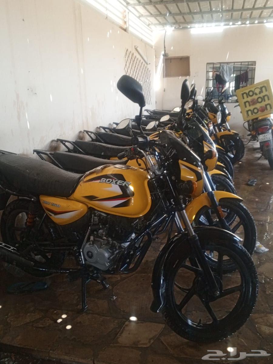 Boxer Type Motorcycles63619888655106111