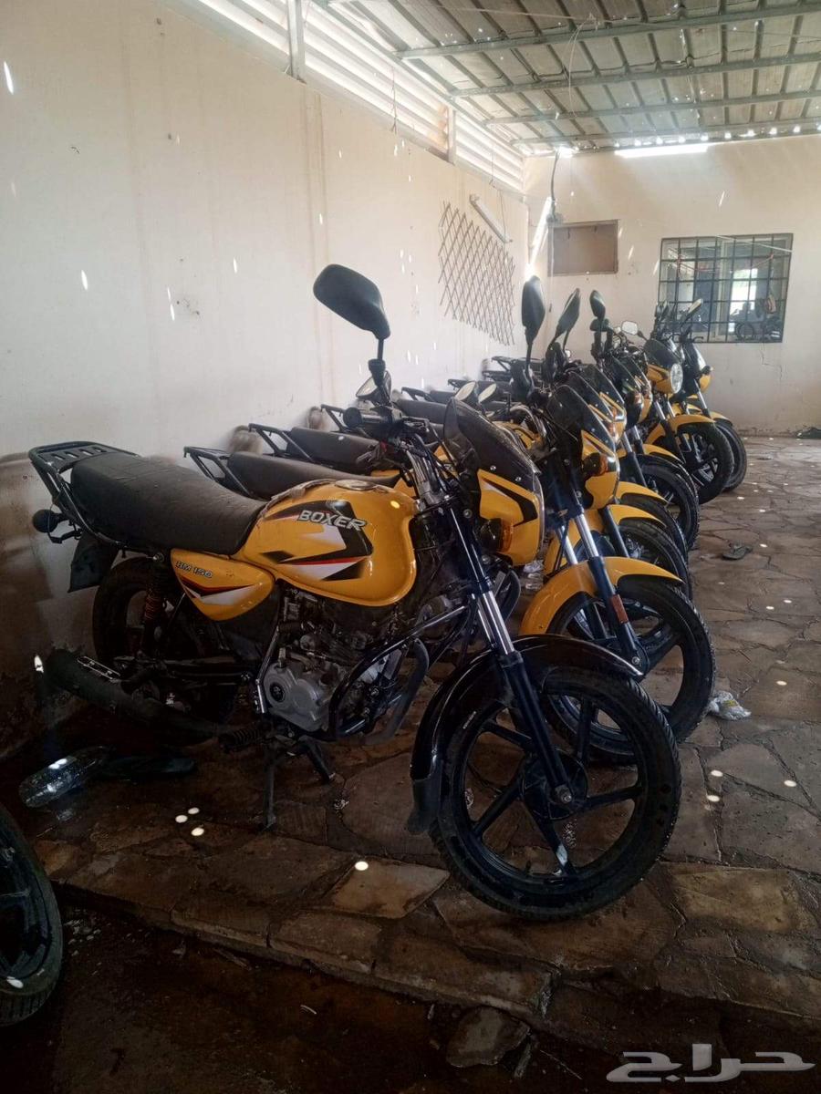Boxer Type Motorcycles63619888655106113