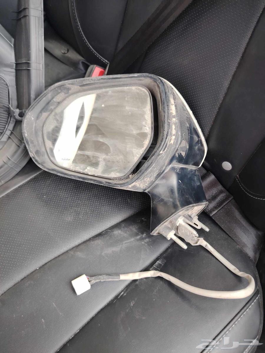Korla 2019 Mirror63625082630531113
