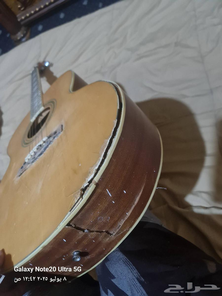 Hello, new oud used for only a month, but the reed is not available63618668369155111
