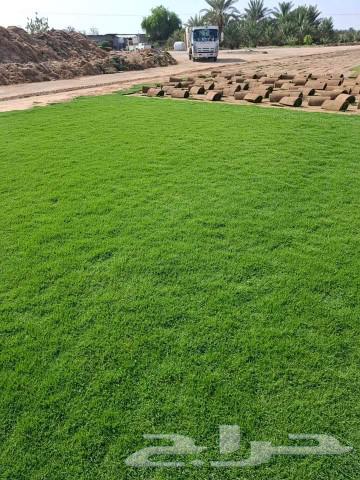 Thil C 2000 Pure and Natural Al-Kharj Location63618586701569112