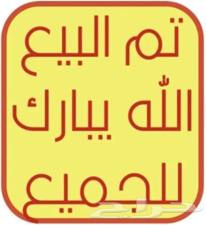 للبيع فرخ حمام فرش..63618576906241114