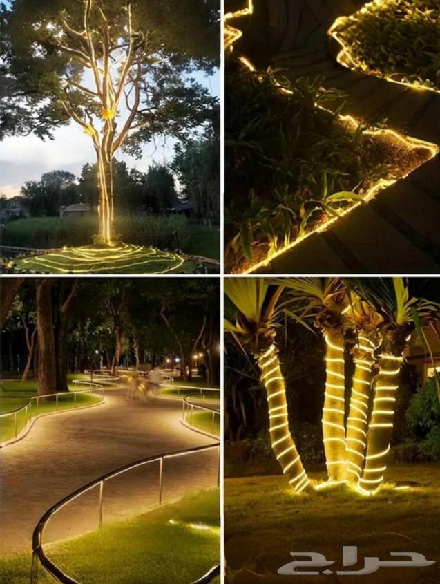 LED Lighting Strip63618586186753111