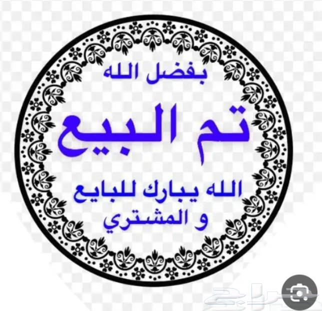 للبيع طير روزانثي اليف هدد مزاجي 150ريال633927240970271122
