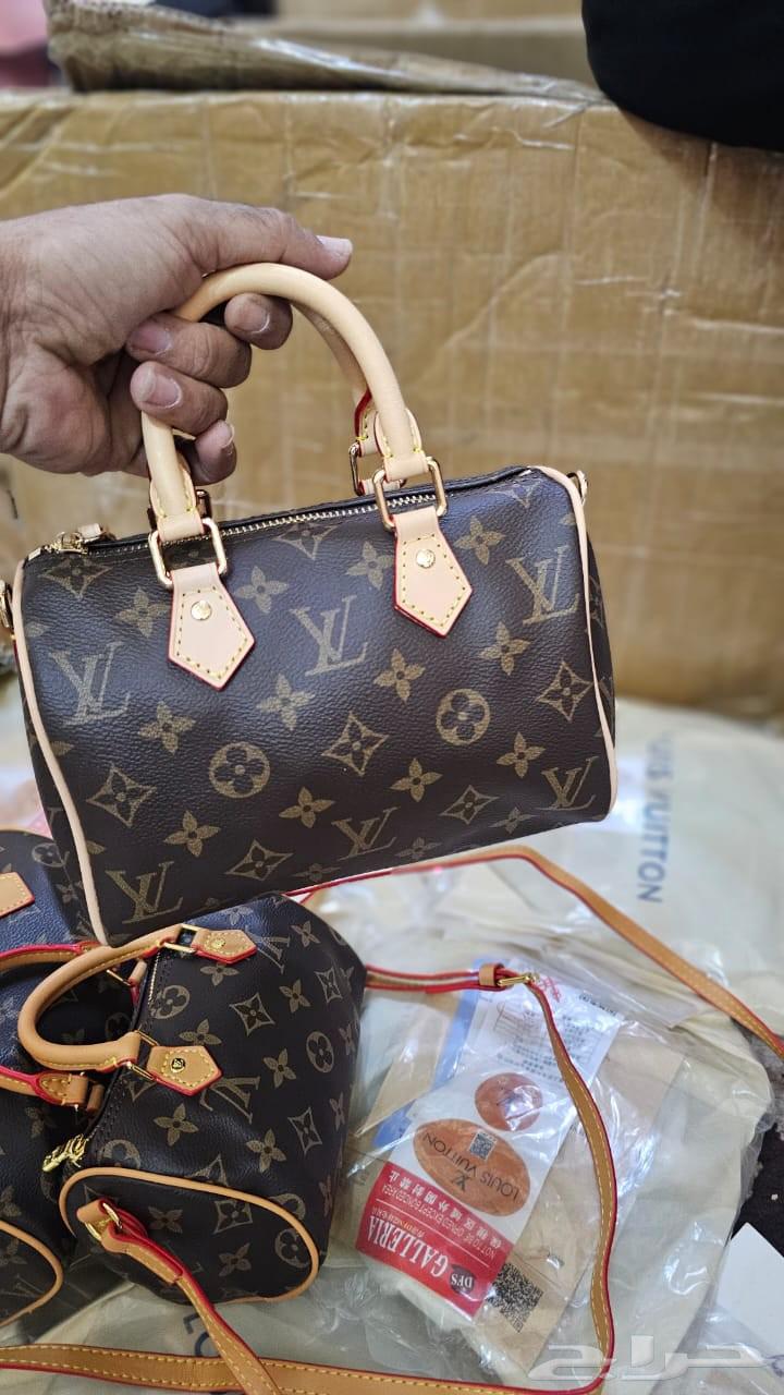 Louis Vuitton Speedy Nano Master bags available again, wholesale and retail63618574842755114