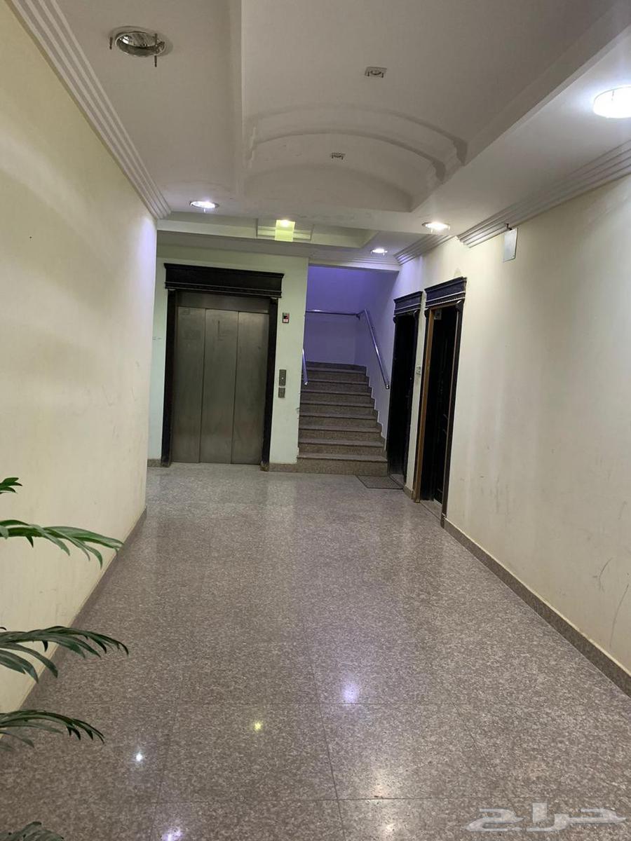 شقه للايجار الحي القادسيه الرياض63010199538819112