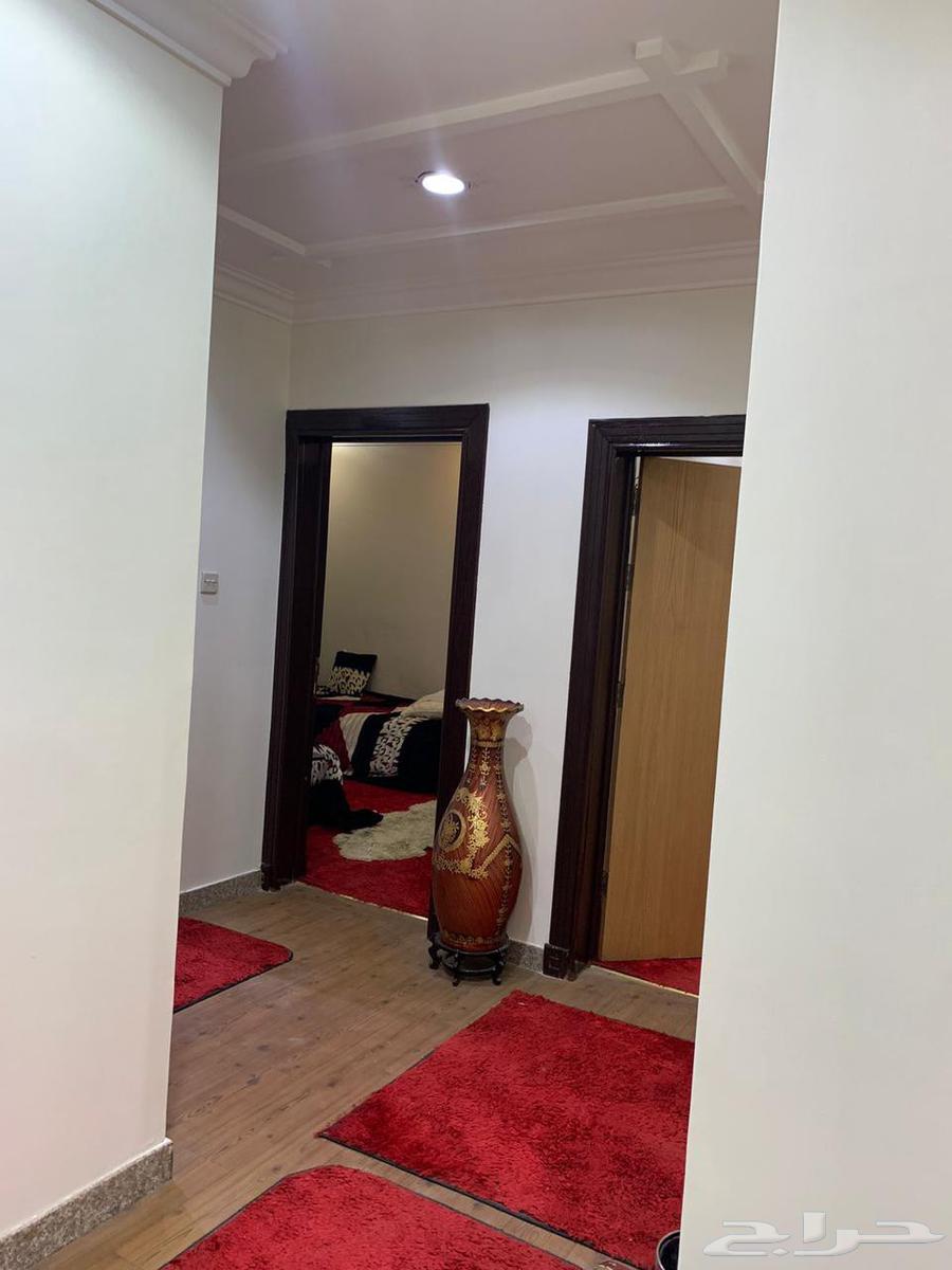 شقه للايجار الحي القادسيه الرياض63010199538819111