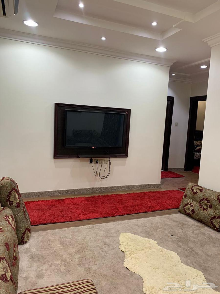 شقه للايجار الحي القادسيه الرياض63010199538819113
