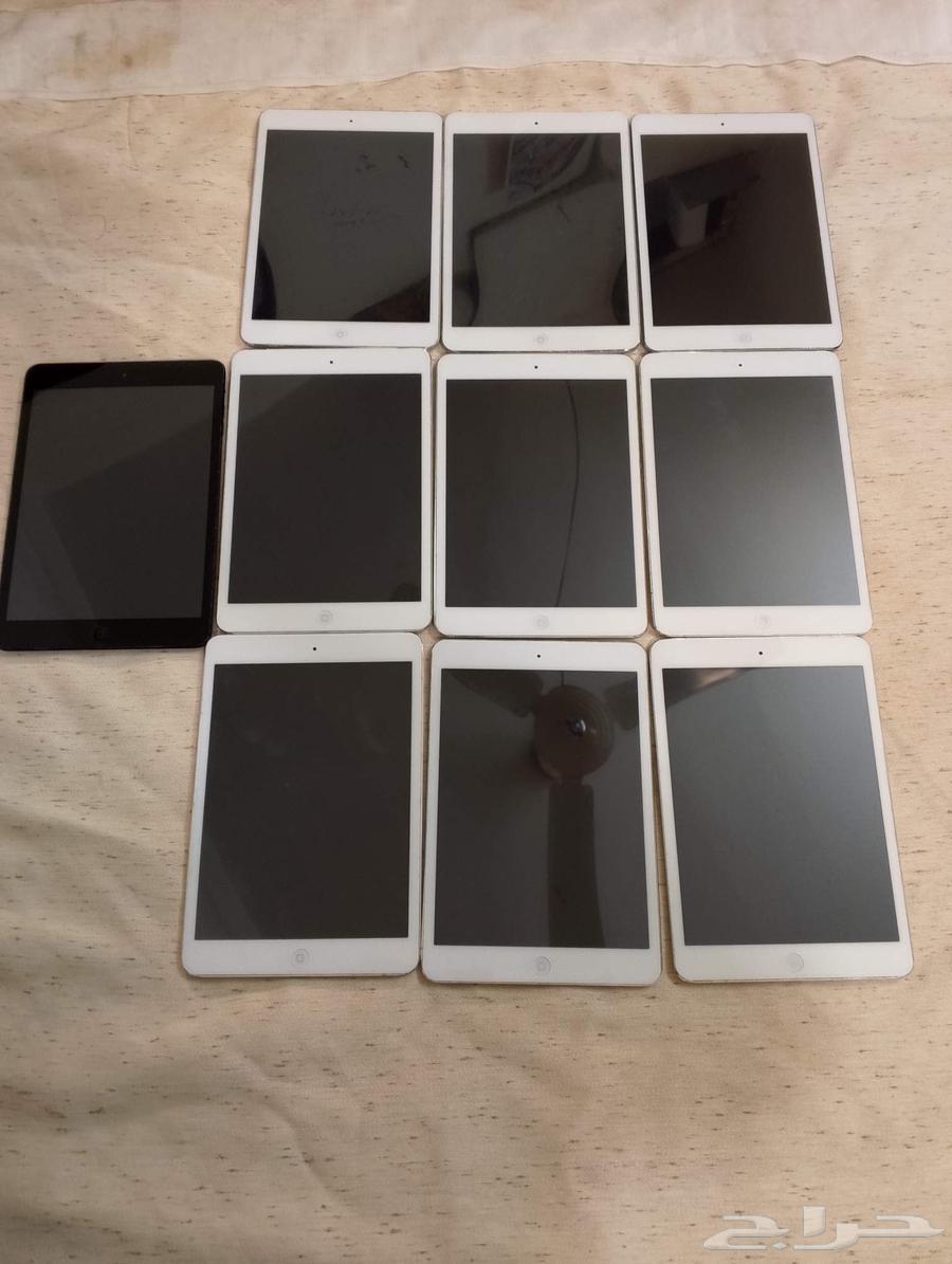 iPad Mini 1 Wi-Fi and Wi-Fi + Cellular63618873840258112