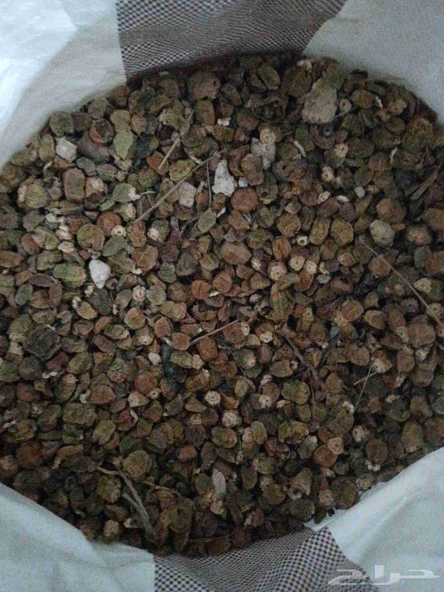Dry dates for animals at cheap prices, sale allowed one bag63618877614721113